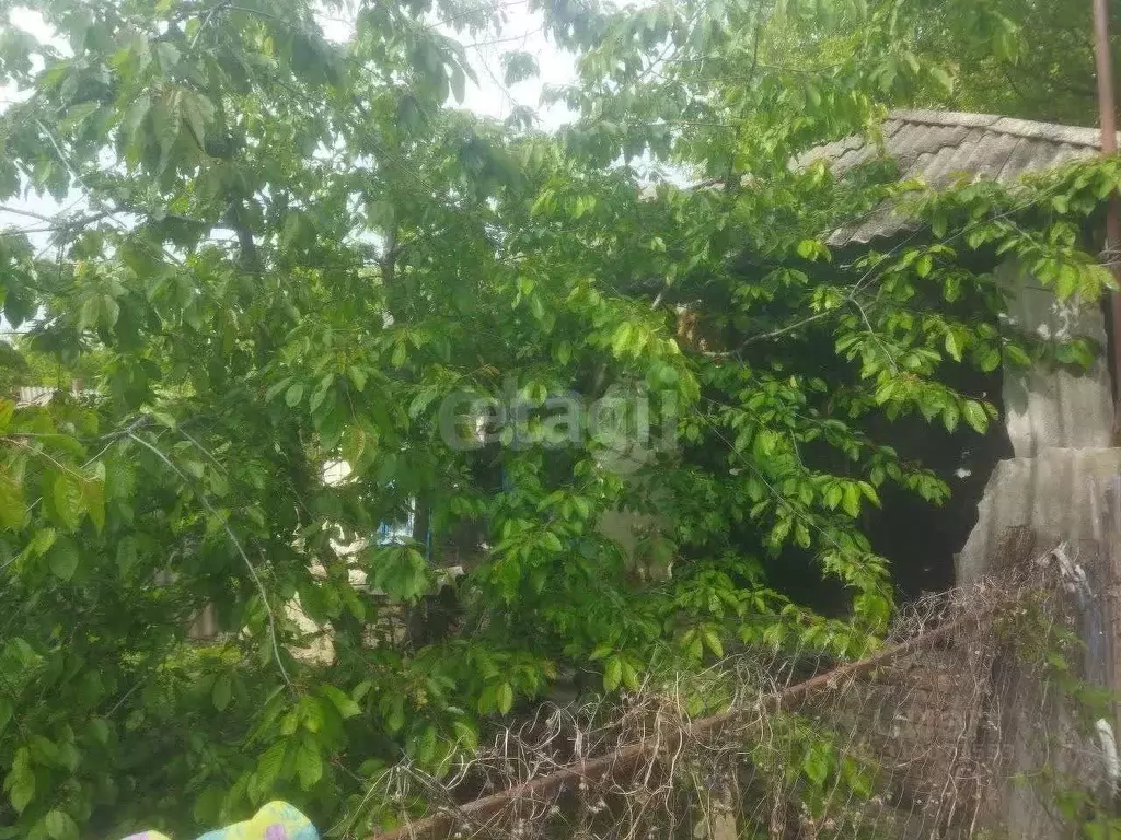 Дом в Белгородская область, Волоконовский район, Староивановское ... - Фото 0
