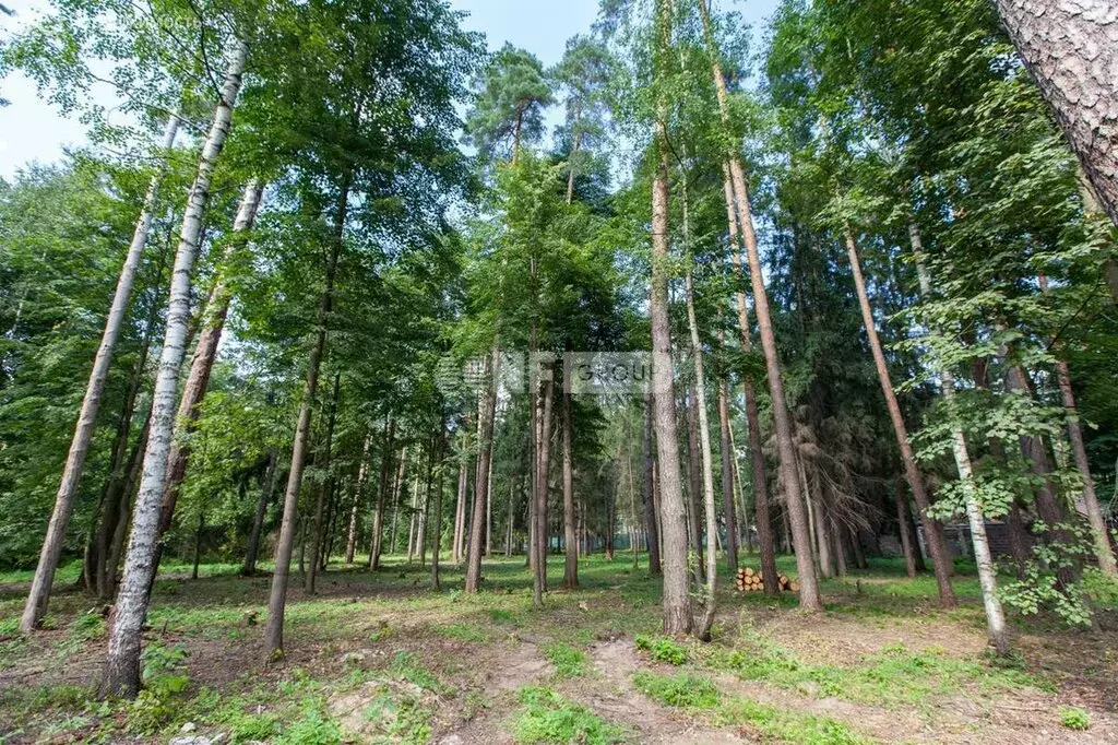 Участок в Одинцовский городской округ, деревня Солослово (55 м) - Фото 1