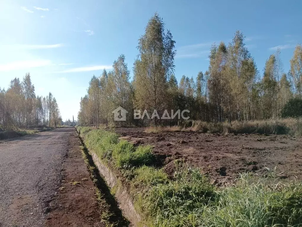 Участок в Ленинградская область, Всеволожский район, Свердловское ... - Фото 0