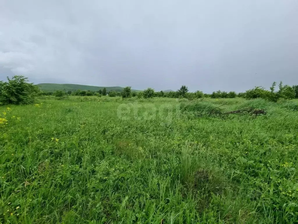 Участок в Алтайский край, Алтайский район, Айский сельсовет, с. Ая  ... - Фото 0