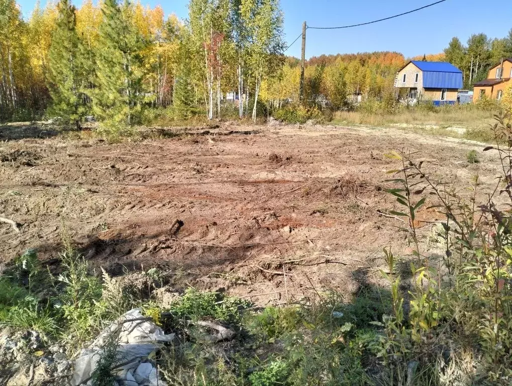 Участок в Ханты-Мансийский АО, Ханты-Мансийск Светлана СОТ, 33 (6.2 ... - Фото 1