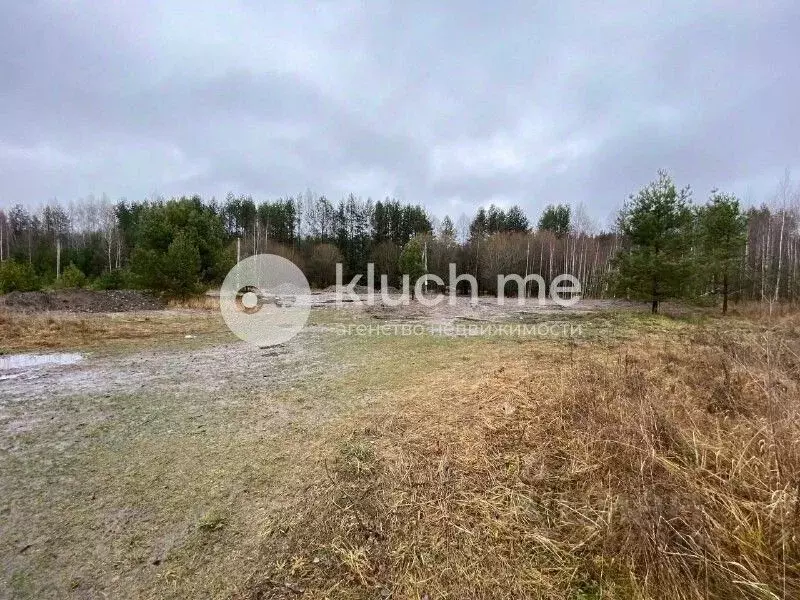 Участок в Тверская область, Конаковский муниципальный округ, Медик ... - Фото 2