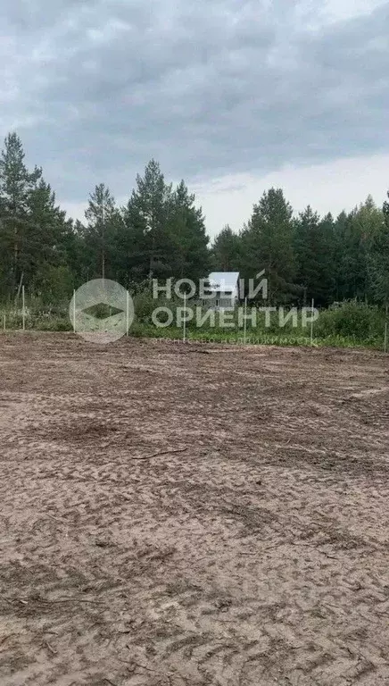 Участок в Свердловская область, Белоярский муниципальный округ, Рябина ... - Фото 0