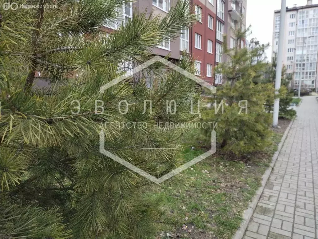 1-комнатная квартира: Калининград, улица Юрия Гагарина, 55В (46.2 м) - Фото 1