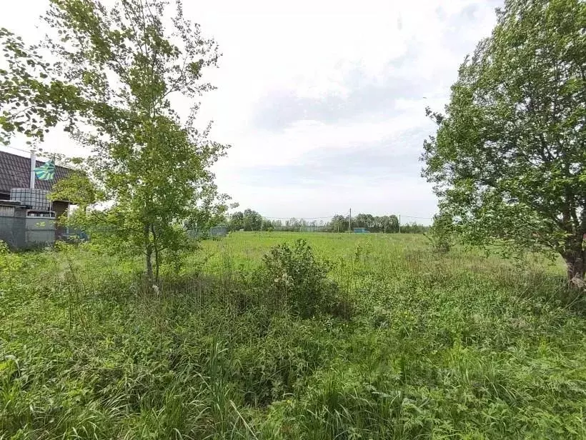 Участок в Московская область, Клин городской округ, Южное СНТ ул. 1-я ... - Фото 1