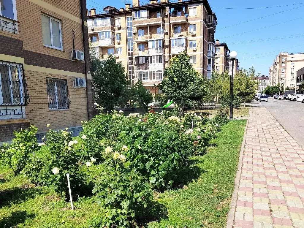 2-к. квартира, 51 м, 5/6 эт. - Фото 1
