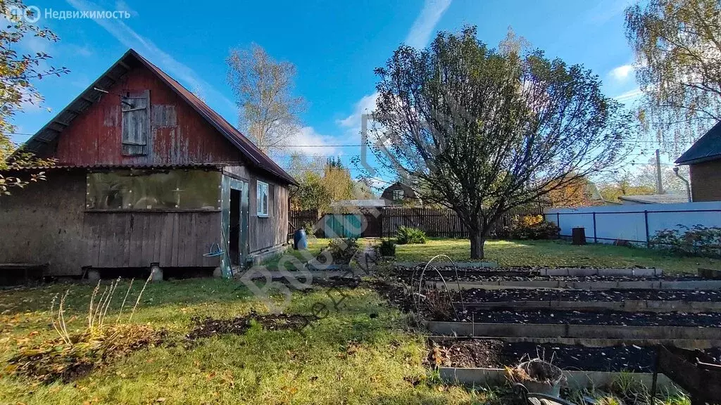 Дом в Богородский городской округ, СНТ Аэлита (45 м) - Фото 0