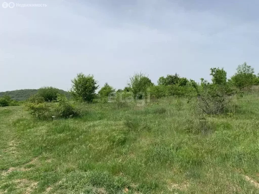 Участок в Краснодарский край, городской округ Новороссийск, село ... - Фото 1