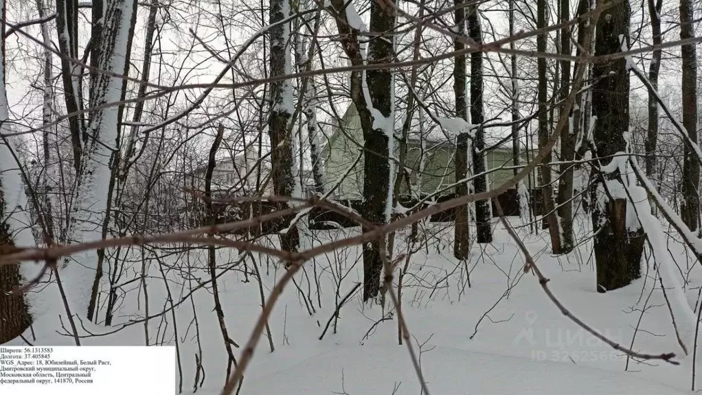 Участок в Московская область, Дмитровский муниципальный округ, с. ... - Фото 1