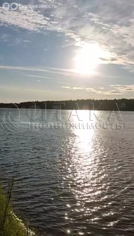 Участок в Лодейное Поле, Ленинградское шоссе, 60В (12 м) - Фото 2