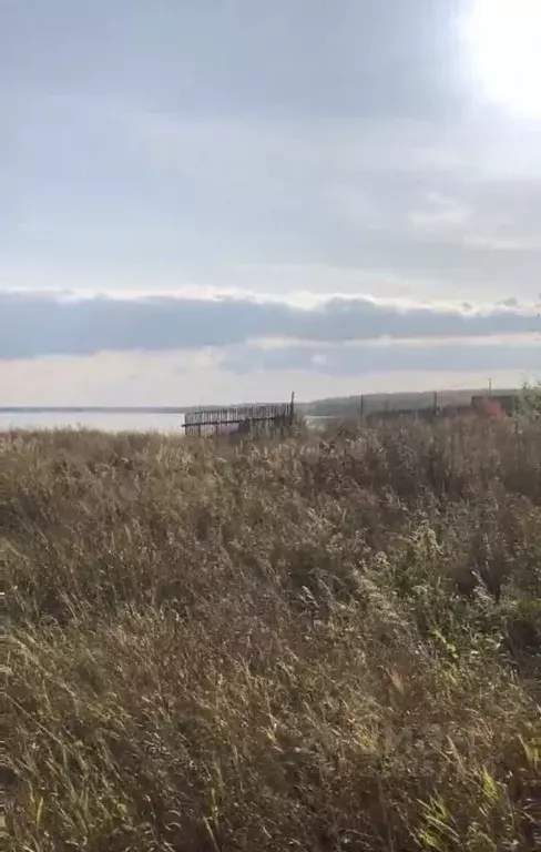 Участок в Тюменская область, Ялуторовский район, с. Сингуль Татарский ... - Фото 0