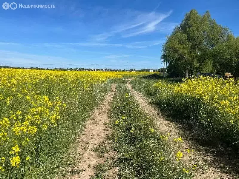 Участок в Калининградская область, Гурьевский муниципальный округ, ... - Фото 0