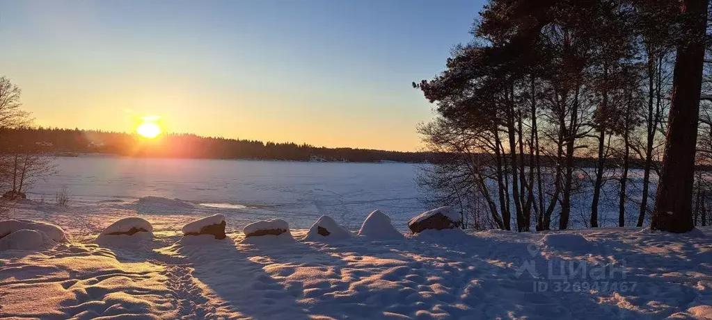 Участок, 15 сот., поселения (ижс) - Фото 1