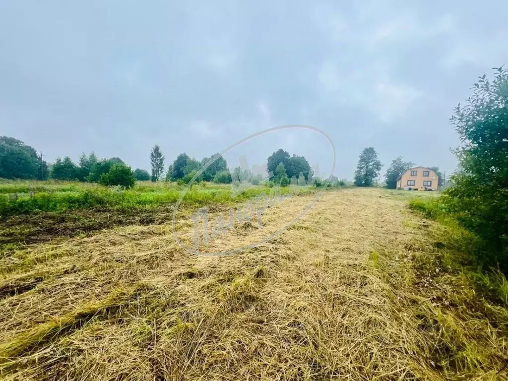 Участок в Калужская область, Перемышльский район, Гремячево с/пос, с. ... - Фото 2