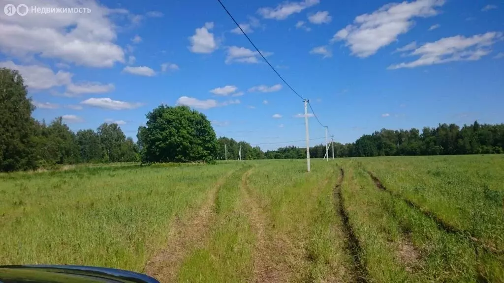 Участок в Нижегородская область, Кстовский муниципальный округ, ... - Фото 0