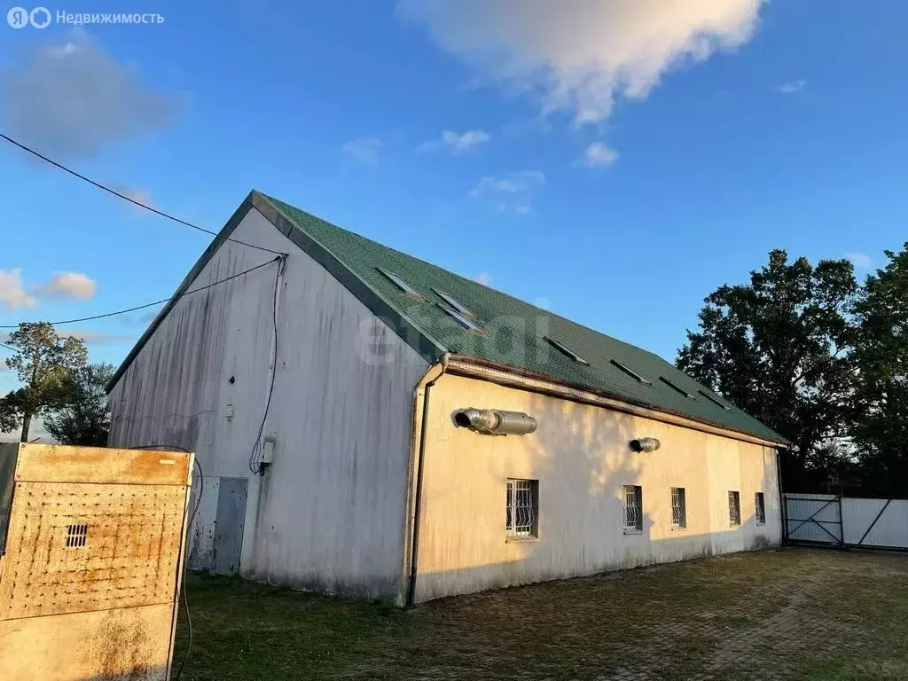 Помещение свободного назначения (369.6 м) - Фото 1