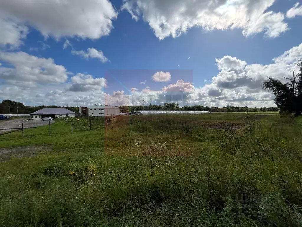 Производственное помещение в Калининградская область, Зеленоградский ... - Фото 2