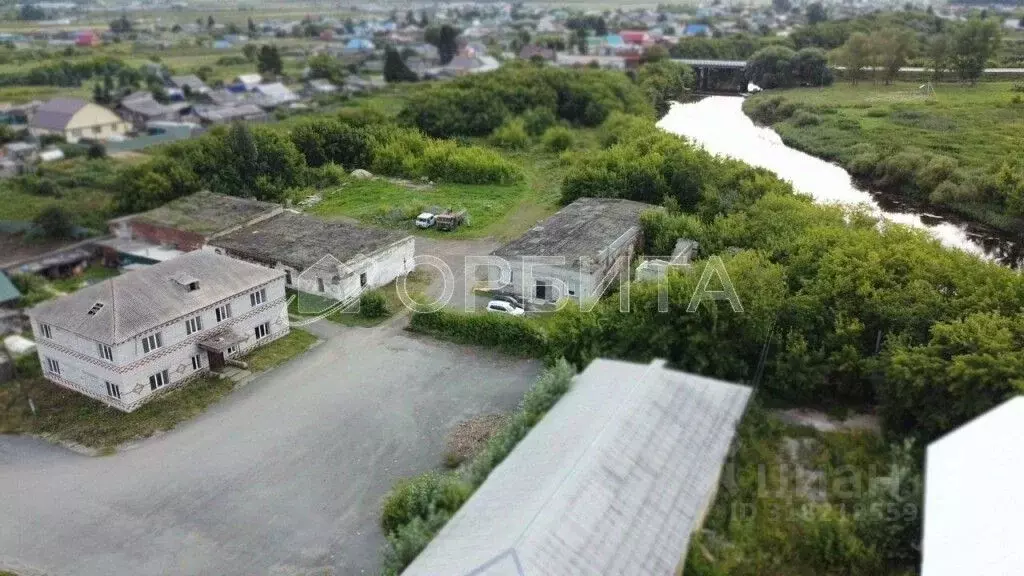 Участок в Тюменская область, с. Омутинское ул. Заречная, 38А (57.0 ... - Фото 2