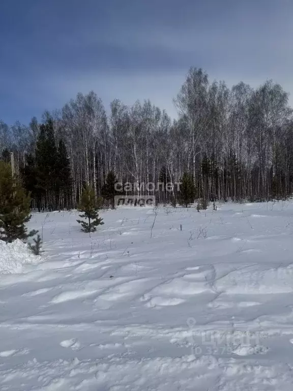 Участок в Челябинская область, Миасс Центральный территориальный ... - Фото 1