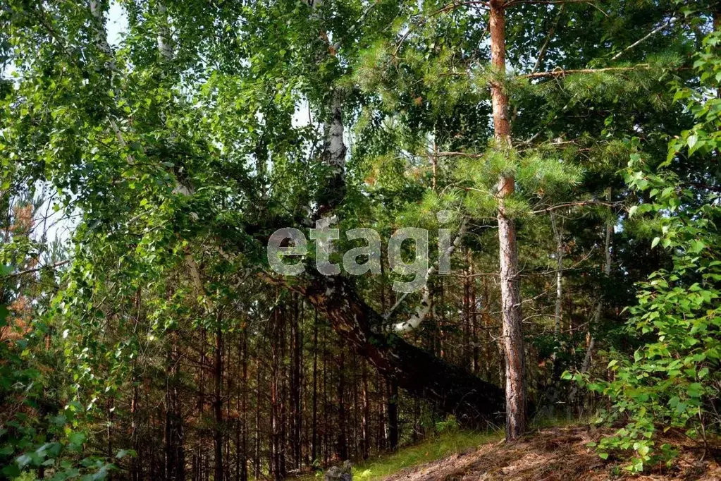 Участок в Челябинская область, Касли ул. Щорса (15.0 сот.) - Фото 2