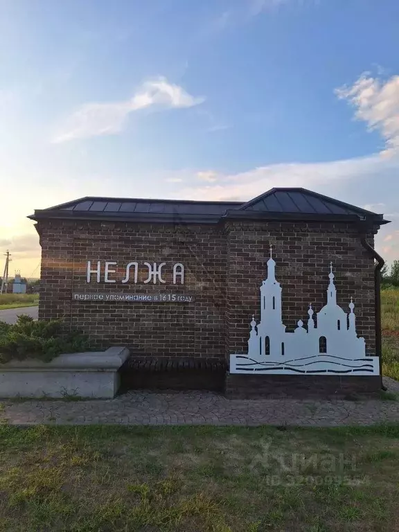 Участок в Воронежская область, Рамонский район, Ступинское с/пос, с. ... - Фото 1