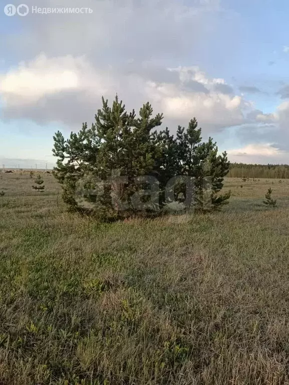 Участок в Поспеловское сельское поселение, посёлок Луговой (15 м) - Фото 2
