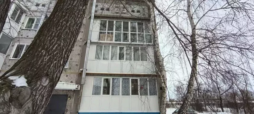 3-к кв. Омская область, Омский район, с. Морозовка ул. Квартал Б, 12 ... - Фото 1