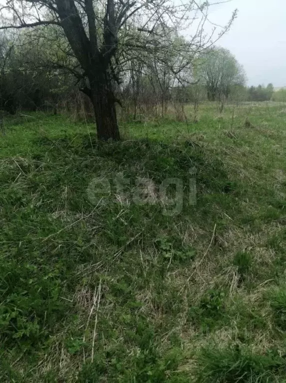 Участок в Калужская область, Козельский район, Деревня Лавровск с/пос, ... - Фото 2