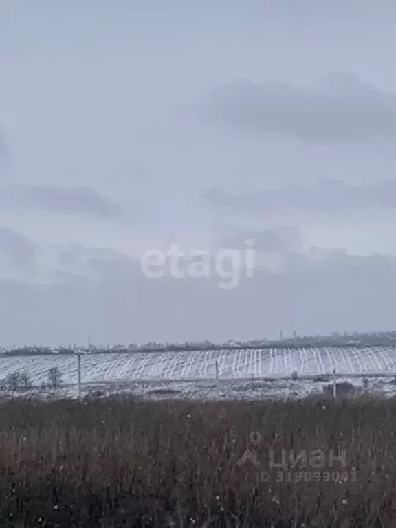 Участок в Белгородская область, Белгородский район, Головинское с/пос, ... - Фото 1