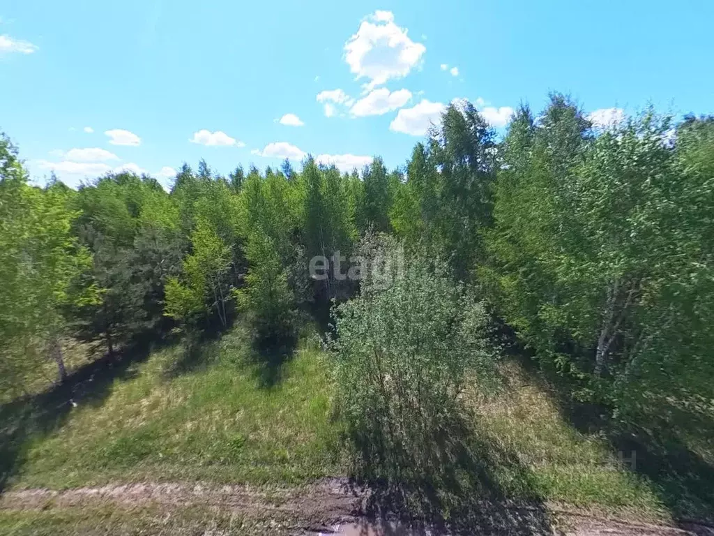 Участок в Тюменская область, Нижнетавдинский район, д. Московка  (6.0 ... - Фото 0