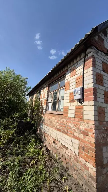 Дом в Воронежская область, Воронеж Ягодка СНТ, 373 (39 м) - Фото 1