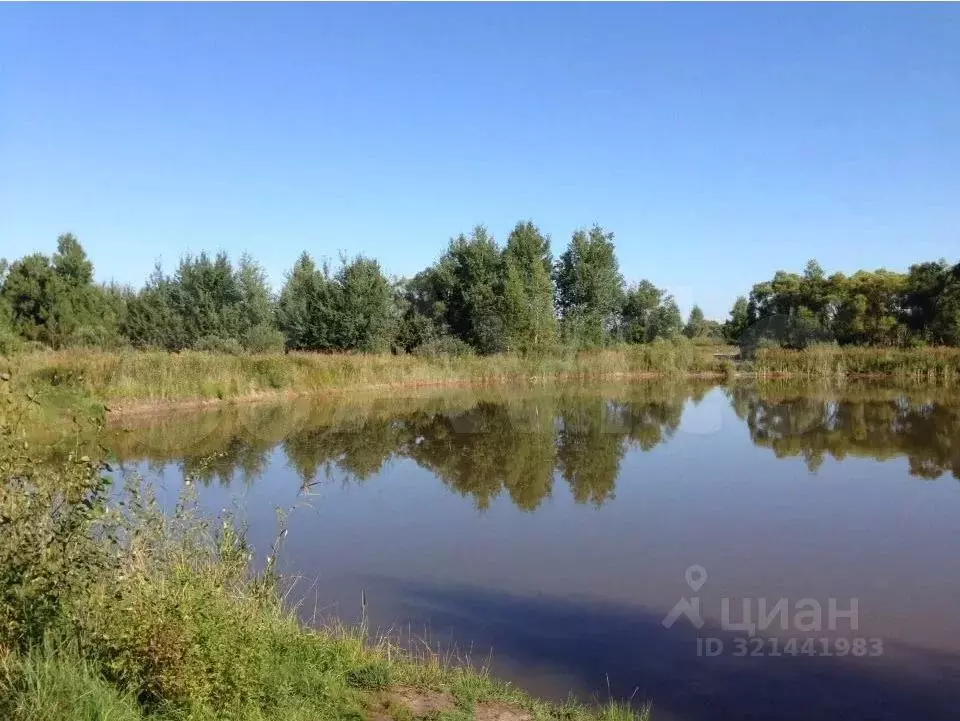 Участок в Московская область, Егорьевск муниципальный округ, д. ... - Фото 0