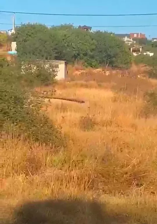 Участок в Севастополь  (4.0 сот.) - Фото 1