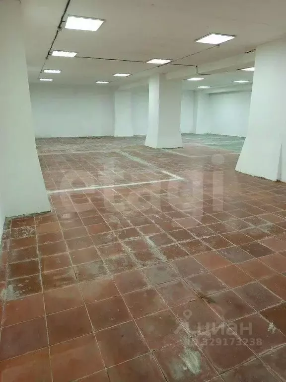 Помещение свободного назначения в Новосибирская область, Новосибирск ... - Фото 2
