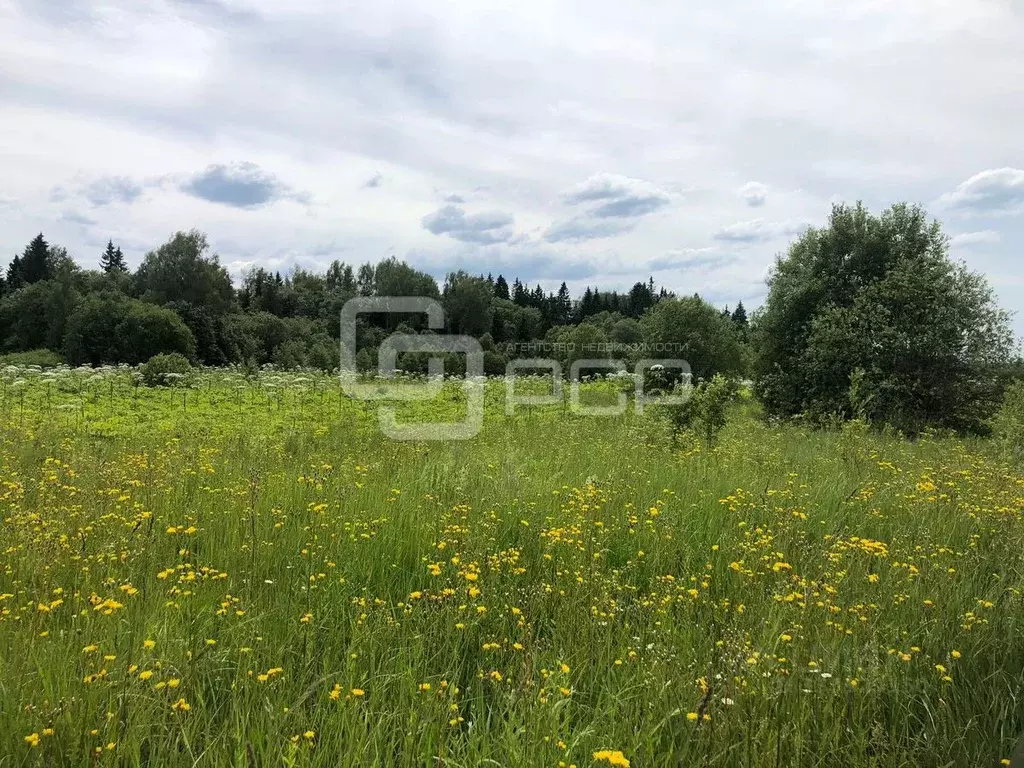Участок в Московская область, Клин городской округ, д. Акатьево  ... - Фото 1