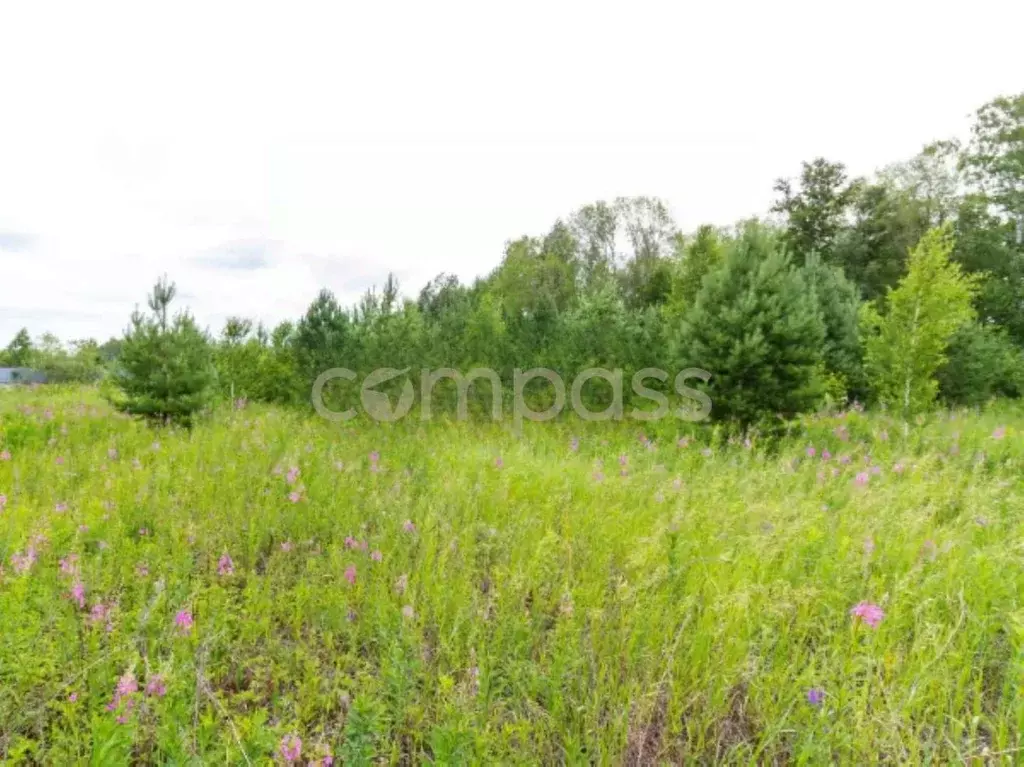 Участок в Тюменская область, Тюменский район, Новокаменский кп ул. ... - Фото 1