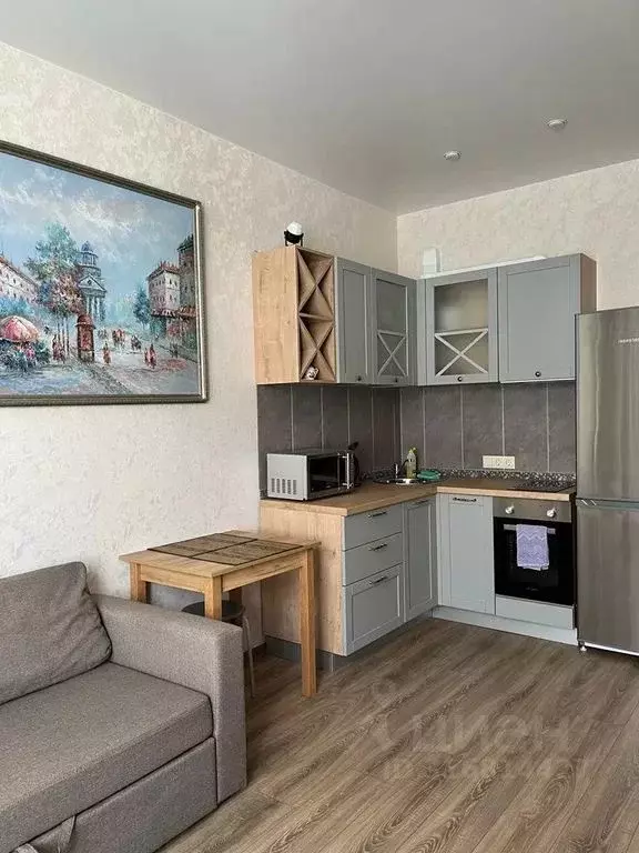 Студия Краснодарский край, Сочи ул. Ленина, 290/6 (25.0 м) - Фото 0