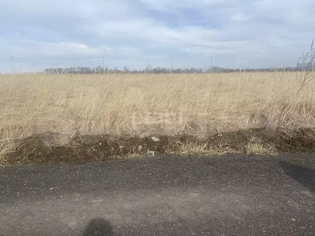 Участок 10 сот. (ИЖС) - Фото 0