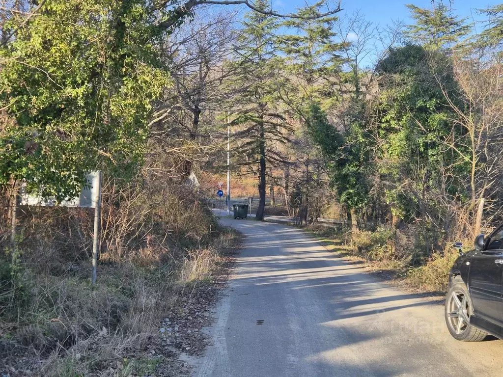 Участок в Краснодарский край, Сочи А-147, 150-й км (5.95 сот.) - Фото 2