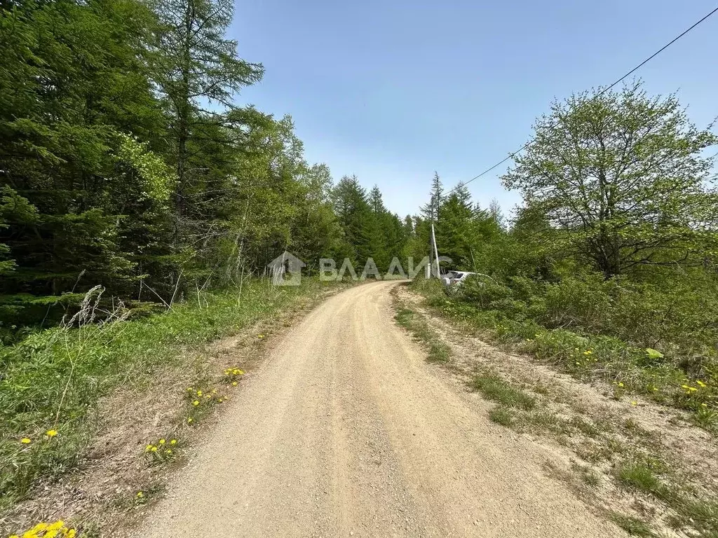 Участок в Сахалинская область, Корсаковский городской округ, с. Новое  ... - Фото 1