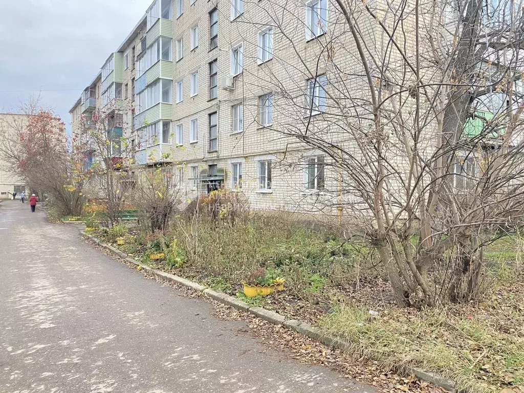 3-к кв. Рязанская область, Скопин Фабричная ул., 2 (50.3 м) - Фото 1