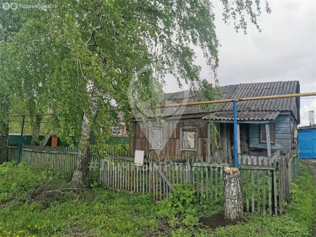 Дом в село Щетиновка, улица Бережок, 202 (24.2 м) - Фото 0