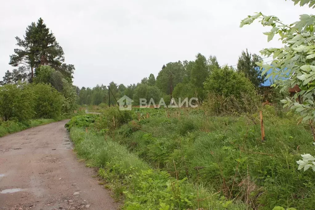 Участок в Ленинградская область, Приозерский район, Ларионовское ... - Фото 1