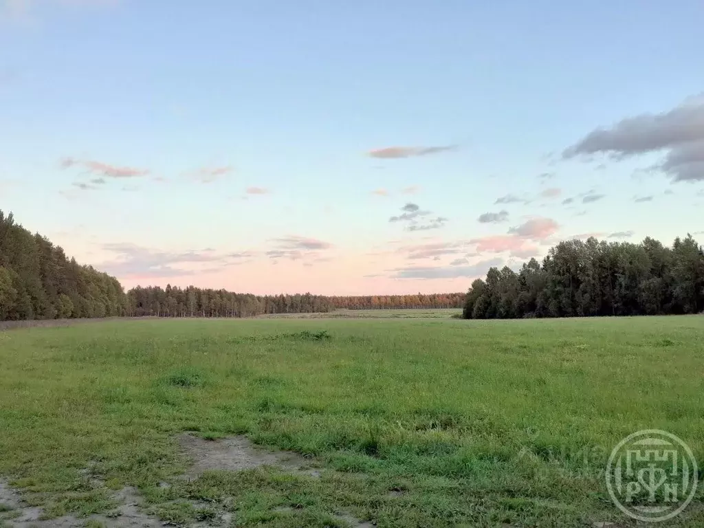 Участок в Ленинградская область, Выборгский район, Красносельское ... - Фото 1