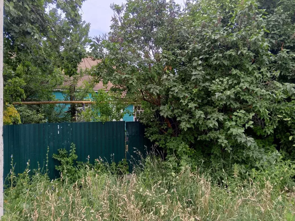 Дом в Липецкая область, Усмань ул. Плеханова, 81 (101 м) - Фото 2