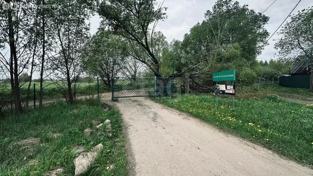 Участок в Московская область, Раменский муниципальный округ, СНТ ... - Фото 2