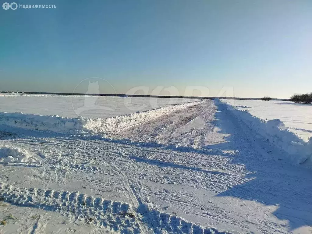 Участок в Тюменский муниципальный округ, село Чикча (10 м) - Фото 2