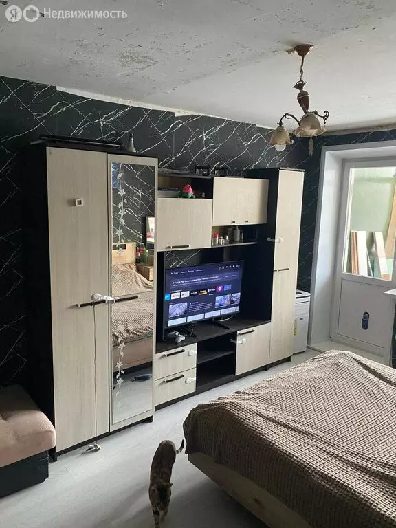 1-комнатная квартира: посёлок Строитель, микрорайон Северный, 33 (29.5 ... - Фото 1