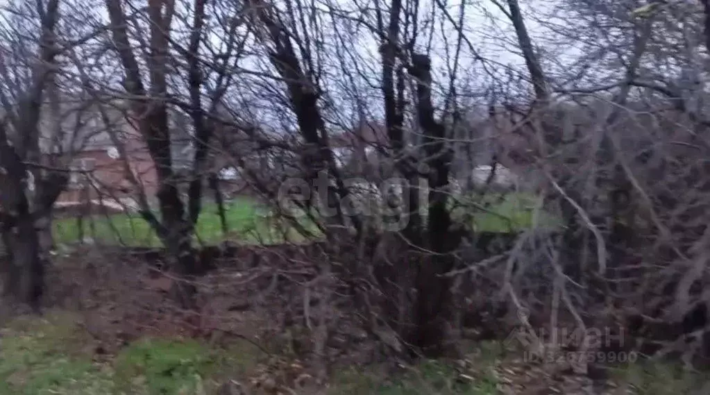 Участок в Ростовская область, Азовский район, Кулешовское с/пос, ... - Фото 1