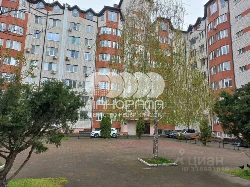 Офис в Краснодарский край, Анапа Алексеевка мкр, ул. Спортивная (9 м) - Фото 1